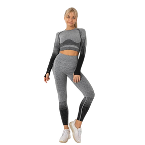 Conjunto Fitness Feminina de Academia Sem Costura